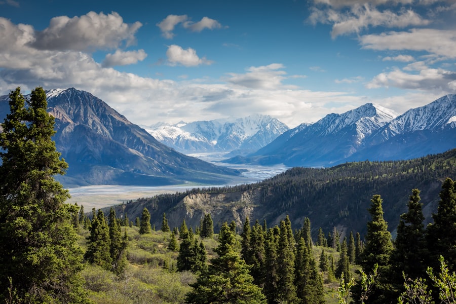 Alpine Reserve